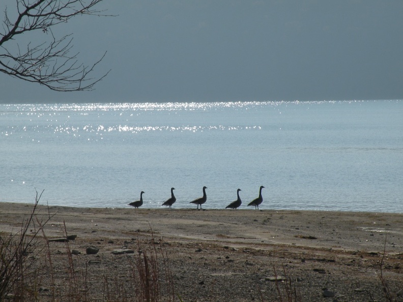 Twin Knobs Beach - 5.jpg